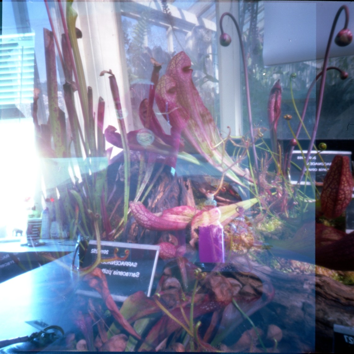 img010 - 2014-06-05 at 07-09-48