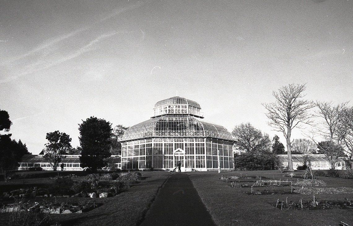 Camera:Nikon F100 Film: Fomapan 100 Dev: Rodinal 1+50 9mins 